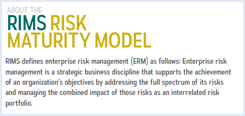 About the Risk Maturity Model
